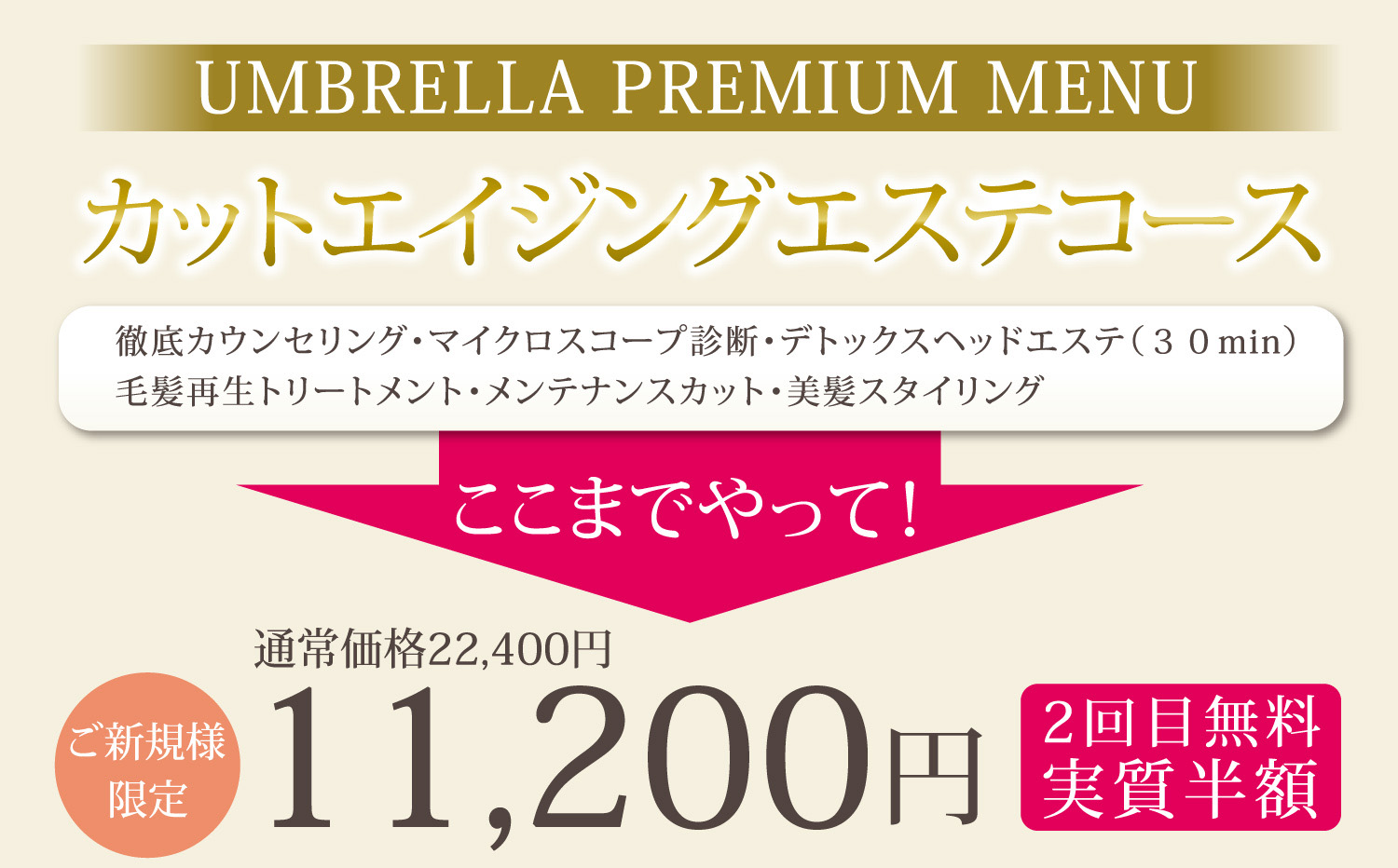 カットエイジングエステコース